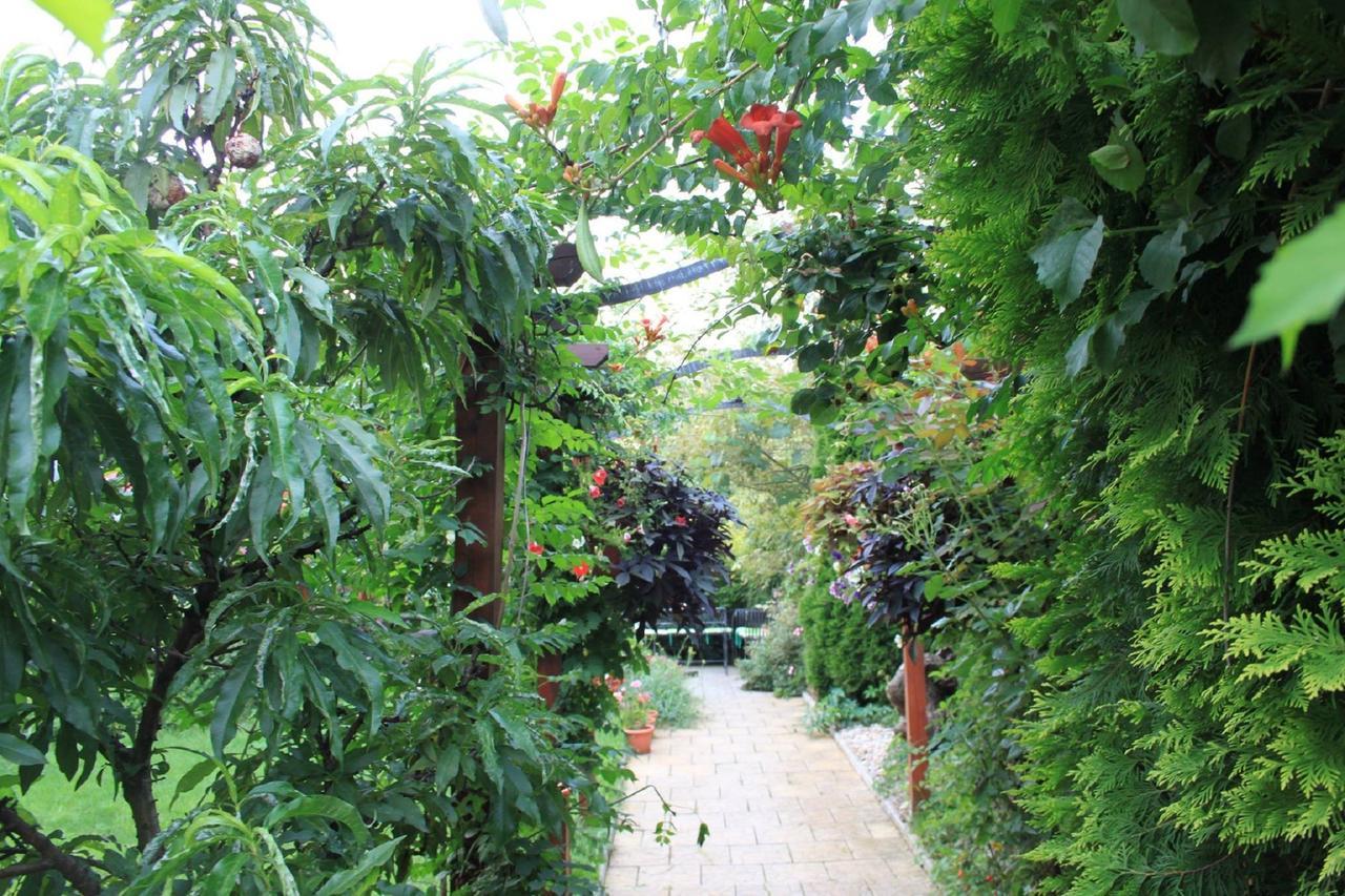 Moldava nad Bodvou Motel Orgovan מראה חיצוני תמונה