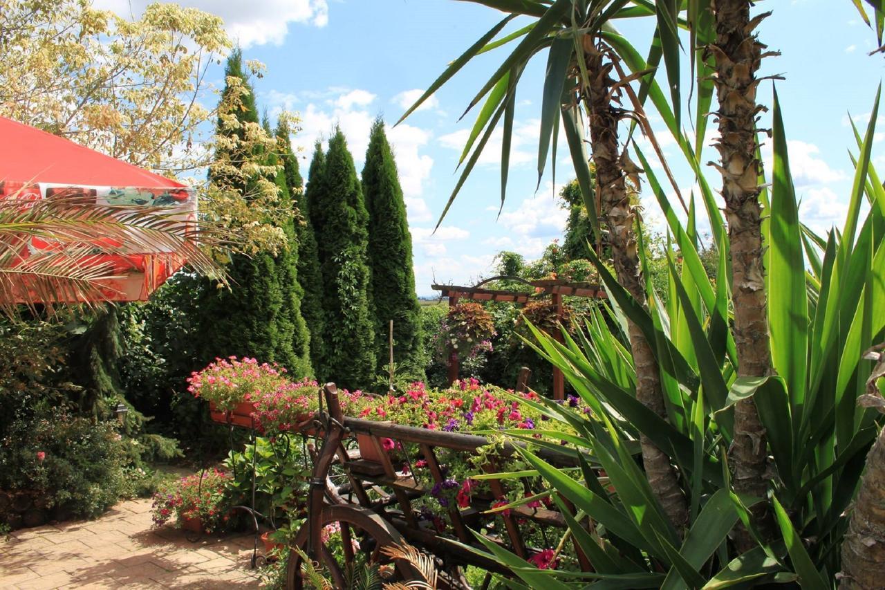 Moldava nad Bodvou Motel Orgovan מראה חיצוני תמונה