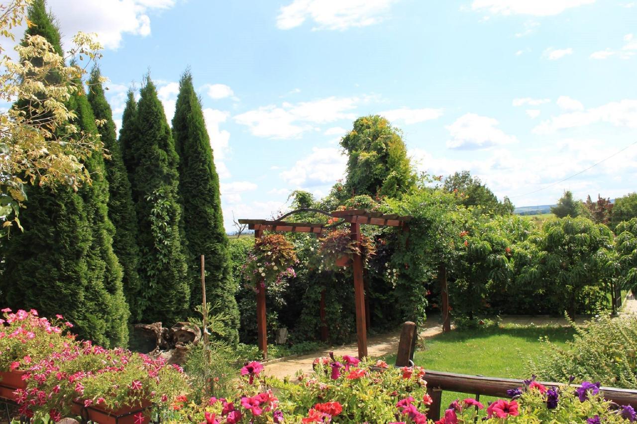Moldava nad Bodvou Motel Orgovan חדר תמונה